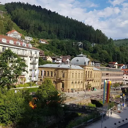 Apartment Gemuetliche Im Zentrum Von Bad Wildbad