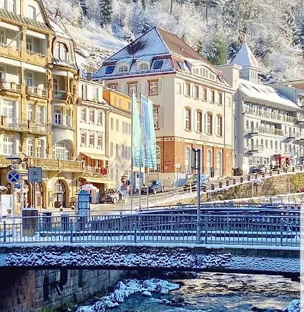 Gemuetliche Im Zentrum Von Apartment